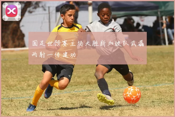 国足世预赛主场大胜新加坡队武磊两射一传建功