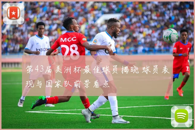 第43届美洲杯最佳球员揭晓 球员表现与国家队前景看点