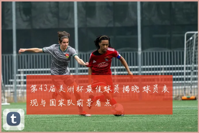第43届美洲杯最佳球员揭晓 球员表现与国家队前景看点