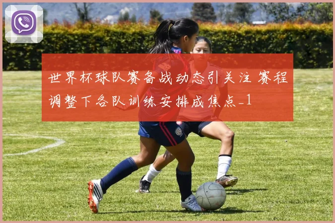 世界杯球队赛备战动态引关注 赛程调整下各队训练安排成焦点_1
